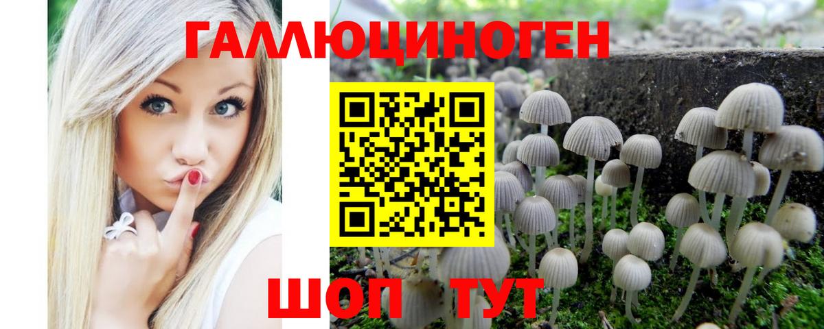 Галлюциногенные грибы мицелий Темрюк